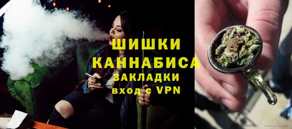 шишки Алзамай