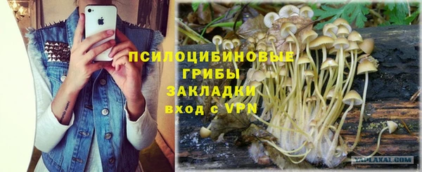 стаф Алексеевка