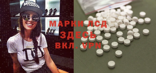 стаф Алексин