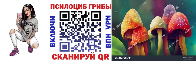 наркошоп Рыбное Псилоцибиновые грибы Psilocybe